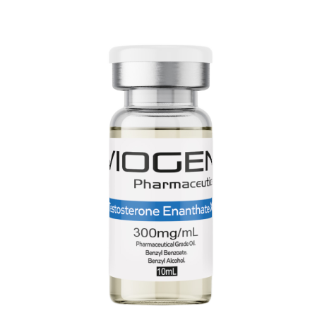 Testosterone Enanthate 300 mg/mL injectable vial by Viogen Pharmaceuticals for laboratory use